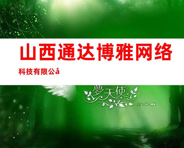 山西通达博雅网络科技有限公司